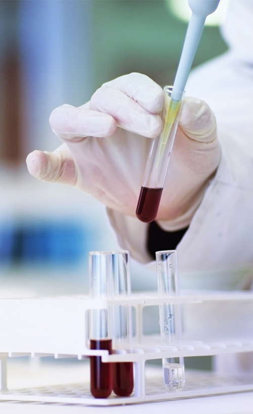 Therapeutic Targeting